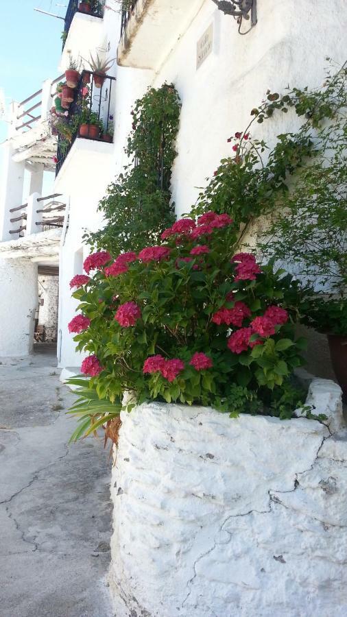 Casa Nicolasa Capileira Exterior photo